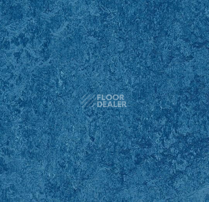 Линолеум Forbo Marmoleum Marbled Real 3030 / 303035 Blue фото 1 | FLOORDEALER